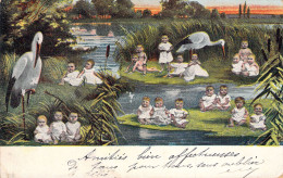 FANTAISIE - Bébés Au Marais - Cigogne  - Carte Postale Ancienne - Baby's