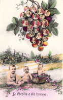 FANTAISIE - La Récolte A été Bonne - Bébés Dans Les Vignes - Carte Postale Ancienne - Babies