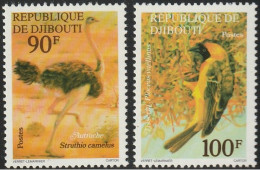 THEMATIC ANIMALS, OSTRICH ETC. - DJIBOUTI - Struzzi