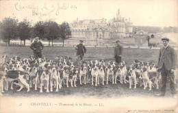 FRANCE - 60 - CHANTILLY - Promenade De La Meute - LL - Carte Postale Ancienne - Chantilly