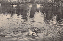 FRANCE - 92 - PUTEAUX - Chieu Saint Bernard Sauvant Un Noyé - La Crue De La Seine - Carte Postale Ancienne - Puteaux