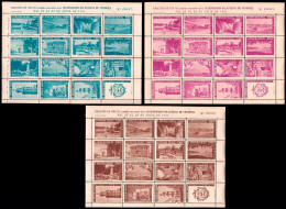 Tarragona - Viñetas - Vendrell - S/Cat - 1951 - 3 HB De 20 Viñetas "II Expo Filatélica Vendrell" Azul, Violeta Y Marrón - Vignettes De Fantaisie