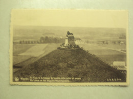 48952 - WATERLOO - LE LION ET LE CHAMP DE BATAILLE - VUE PRISE EN AVION - ZIE 2 FOTO'S - Waterloo