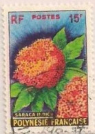 POLYNESIE -  Saraca Indica - Used Stamps