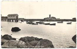 29 Trégunc - Le Port De La Pointe De Trévignon - Trégunc