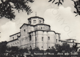 CARTOLINA  CESENA,EMILIA ROMAGNA-MADONNA DEL MONTE-ABSIDE DELLA BASILICA-CULTURA,RELIGIONE,IMPERO ROMANO,NON VIAGGIATA - Cesena