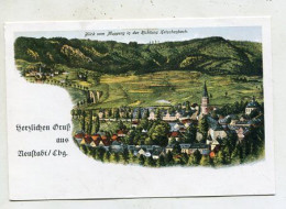 AK 136574 GERMANY - Neustadt / Ebg. - MODERN REPRODUCTION CARD - Neustadt