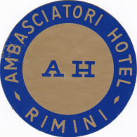 Italy Rimini Ambasciatori Hotel Vintage Luggage Label Sk2213 - Hotel Labels