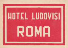 Italy Roma Hotel Ludovisi Vintage Luggage Label Sk2218 - Hotel Labels