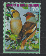 Guinea Ecuatorial Used ;  Appelvink Hawfinch Gros Bec Cassenoyeaux Pirogordo Vogel Bird Ave Oiseau - Mussen