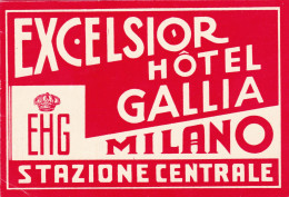 Italy Milano Excelsior Hotel Gallia Vintage Luggage Label Sk2230 - Hotel Labels