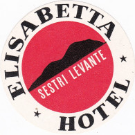 Italy Sestri Levante Elisabetta Hotel Vintage Luggage Label Sk2232 - Hotel Labels