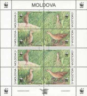 Moldova 2001 WWF Rare Birds Sheetlet Mint - Cuckoos & Turacos