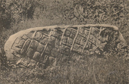 Fallen Stone, Ruins Of Quirigua - Guatemala