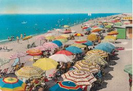 MARINA DI CARRARA - SPIAGGIA - ANIMATA - ACQUERELLATA - V1963 - Carrara