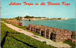 Florida Conch Key Lobster Traps - Key West & The Keys