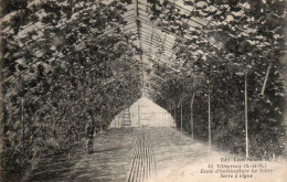 VILLEPREUX ECOLE D'HORTICULTURE LE NOTRE SERRE A VIGNE - Villepreux