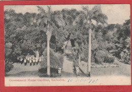 Barbades - Barbados - Government House Gardens - Barbados