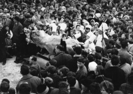 VAR 83 BARJOLS LA FÊTE DE LA SAINT MARCEL LES TRIPETTES - Barjols