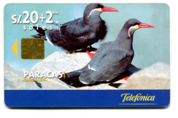 Perù Paracas 50.000ex. 1999 - Perú