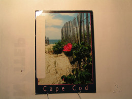 Cape Cod - Pathway To The Beach - Cape Cod