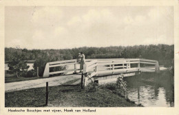 Hoek Van Holland Hoeksche Boschjes Met Vijver En Brug M6572 - Hoek Van Holland