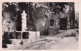 Lorgues - Fontaine - Place Du Marane -  CPSM °J - Lorgues