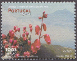 AZORES 1999 - AÇORES - EUROPA CEPT - 1 SELLO - 1999