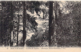 FRANCE - 10 - BAR SUR AUBE - Le Bois De Sapins - Montagne Sainte Germaine - LL - Carte Postale Ancienne - Bar-sur-Aube