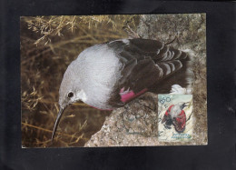 REPUBLIC OF MACEDONIA, CARTE MAXIMUM, MICHEL 333 - BIRDS-Tichodroma Muraria + - Piciformes (pájaros Carpinteros)