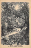 FRANCE - 63 - CHATEL GUYON - Le Ruisseau Sardoun Dans Le Parc - Carte Postale Ancienne - Châtel-Guyon