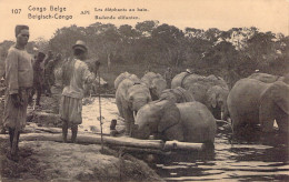 CONGO BELGE - Les éléphants Au Bain - Carte Postale Ancienne - Congo Belga
