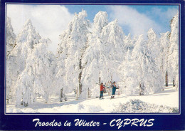 Cyprus Troodos Mountains Winter Scenery - Chypre