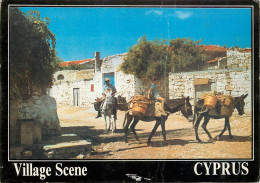 Cyprus Village Types And Scenes Picturesque Aspects - Chypre