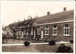 RIJKEVORSEL - School - St-Jozef - Rijkevorsel