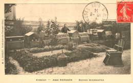 Avrechy * Rucher De L'Abbé RANSSON * Ruches Hivernantes * Apiculture Apiculteur Ruche Abeille Miel - Andere & Zonder Classificatie