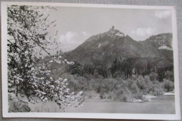 GERMANY DEUTSCHLAND MISC DRACHENFELS RHEIN KARTE POSTKARTE ANSICHTSKARTE POSTCARD CARD CARTE POSTALE CP PC AK - Donauwörth