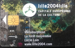 PIAF  -   LILLE  -   ISLA  -  Lille2004  -  Métamorphose  -   15 E. - Cartes De Stationnement, PIAF