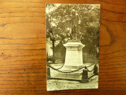 FERNEY-VOLTAIRE - Statue Du Patriarche De Ferney - Ferney-Voltaire