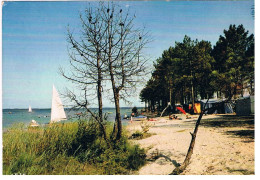 CPM CAMPING Bord Lac Biscarosse - Autres & Non Classés