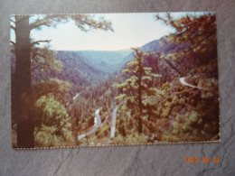 OAK CREEK CANYON - Gran Cañon