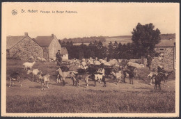 +++ CPA - SAINT HUBERT - Le Berger Ardennais - Chèvres - Moutons  // - Saint-Hubert