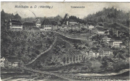 Mühlheim An Der Donau Totalansicht 1908 - Muehlheim