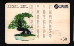 China Telecom Prepaid Phonecard Used Stained Scratch Bonsai Themed - Collections