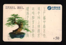 China Telecom Prepaid Phonecard Used Dirty Bonsai Themed - Collections