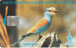 GAMBIA. GAM-09. BIRD - Kingfisher (CN: C4Cxxxxxx). 125U. (004) - Gambia