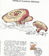 Andorre (Espagnole) 1983 -  Grand Encart FDC. Michel Nr.: 167. Yvert Nr.: 160. Theme: "Champignons"... (EB) DC-11691 - Used Stamps