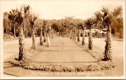 Florida Silver Springs Entrance Real Photo - Silver Springs