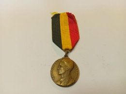 Une Médaille Du Roi Baudouin Accordion De Huy - Royaux / De Noblesse