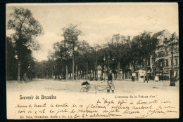 CPA - Carte Postale - Belgique -  Souvenir De Bruxelles - L'Avenue De La Toison D'Or - 1900 (CP22964) - Avenues, Boulevards